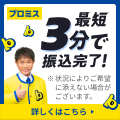 プロミスフリーキャッシング